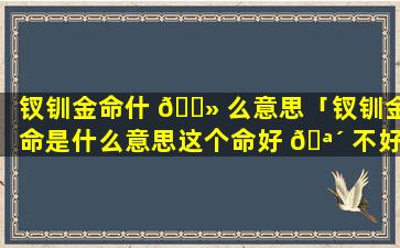 钗钏金命什 🌻 么意思「钗钏金命是什么意思这个命好 🪴 不好」